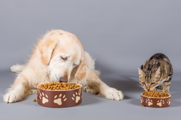 How To Get Help With Pet Food